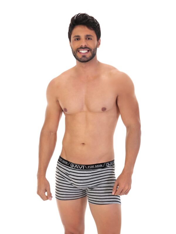 Cueca Boxer Hamilton